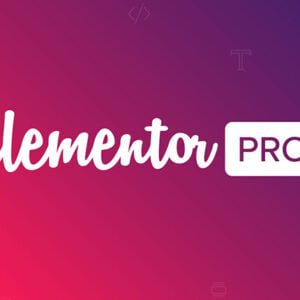 Elementor PRO